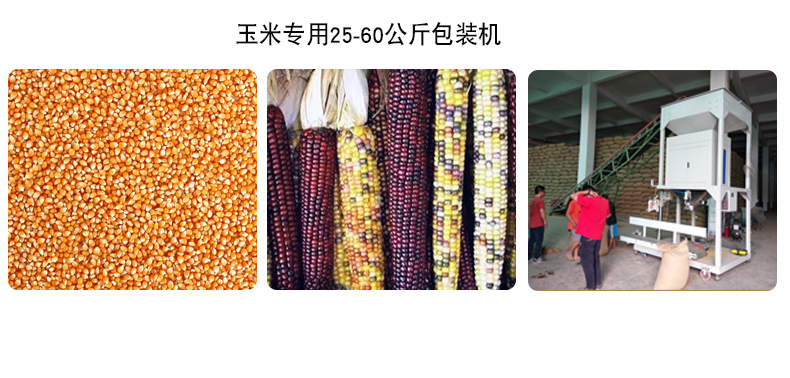 25-60公斤玉米自动定量包装机