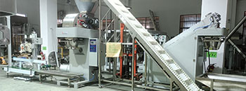 25-50公斤红糖粉包装机